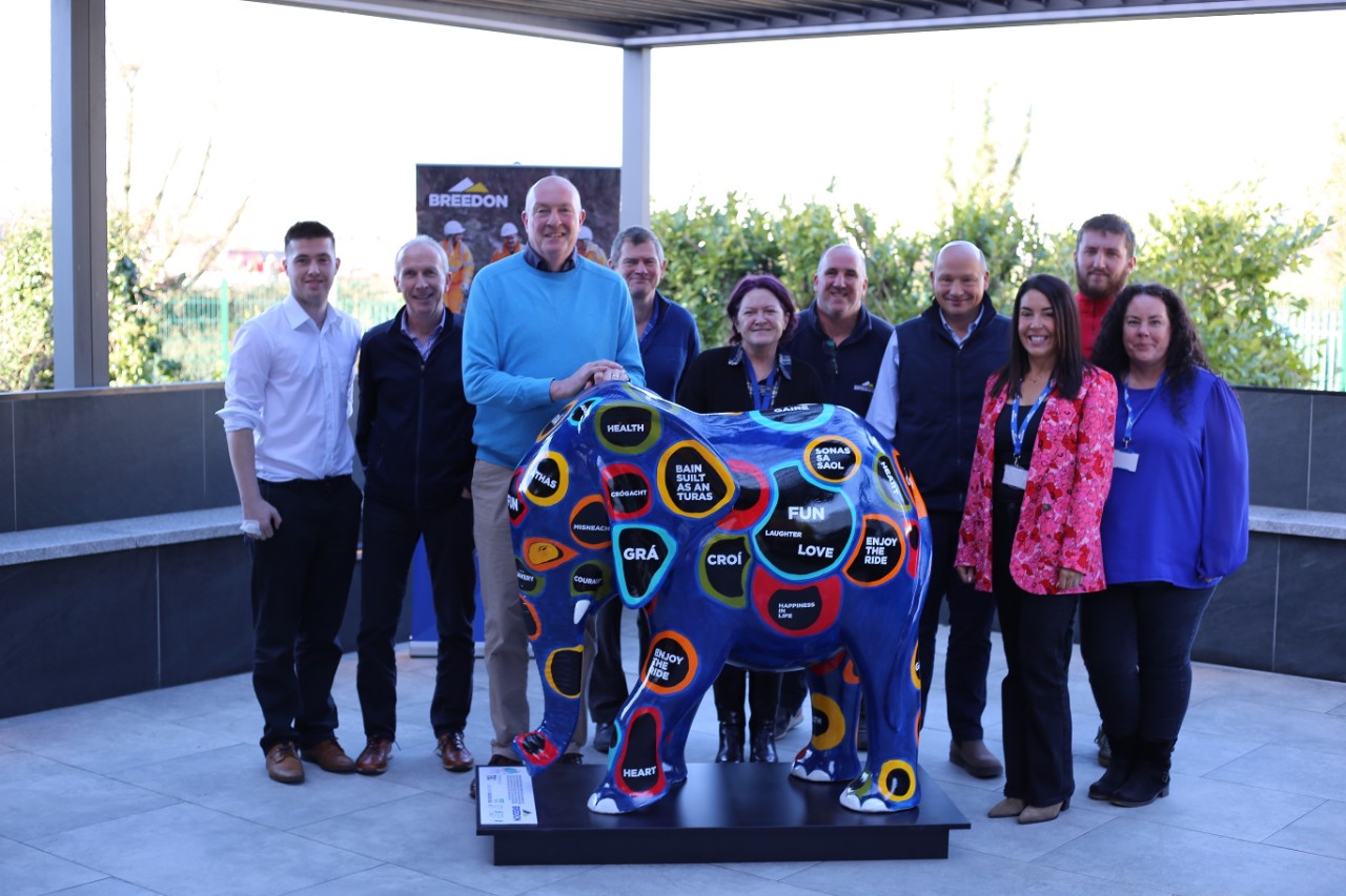 elephant in the room