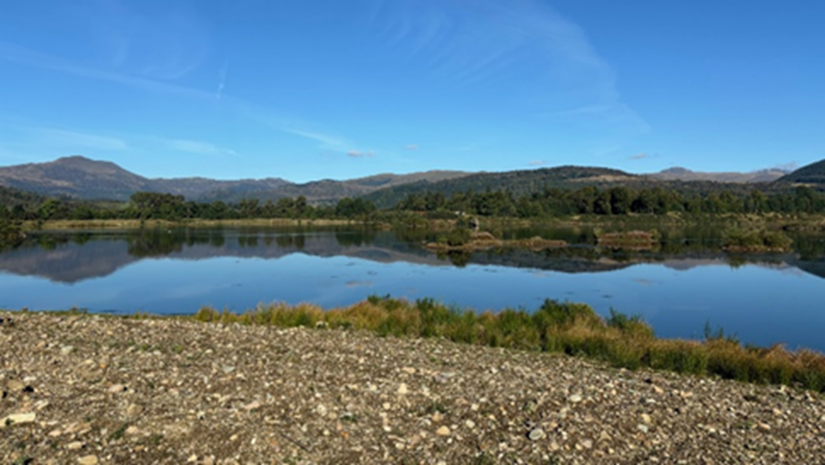 biodiversity at Cambusmore